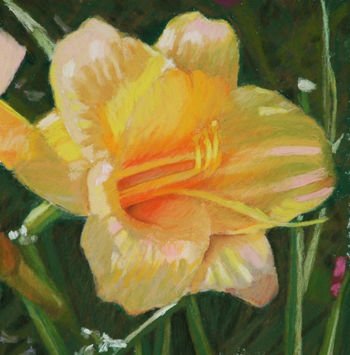 Tennessee Lily